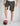 Featherweight Shorts - Olive-Bodybrics-